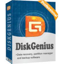 DiskGenius Professional 5.2.1.941 Crack + License key Free 2022